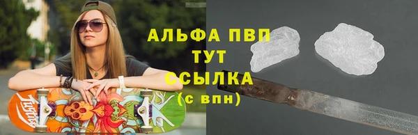 гашик Козловка