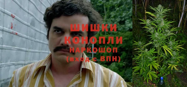 трава Алзамай